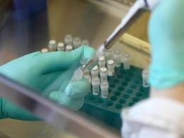 House of Diagnostics draws interest from more investors
