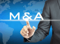 FirstCry parent inks M&A; Aurobindo Pharma, Info Edge to up stake in existing bets