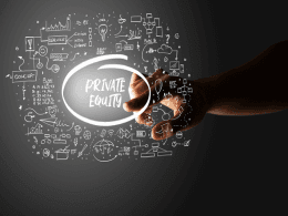 Flashback 2025: Most active private equity-style investors in India