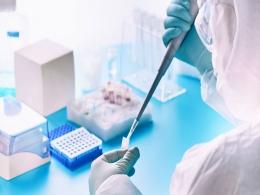 PE-backed Sterling Accuris acquires Gujarat diagnostics firm in latest M&A move