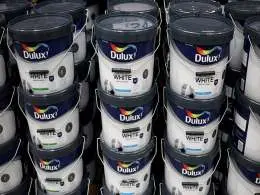 AkzoNobel to sell Southeast Asia paints business to Nippon Paint for $1.35 bn