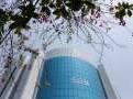 Invesco's India arm settles mutual fund violation charges with SEBI