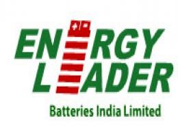 US-based EnerSys acquires remaining 49.5% stake in Energy Leader Batteries