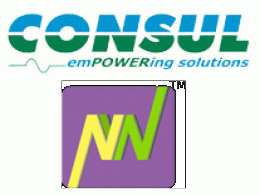 Peepul Capital-controlled UPS maker Consul Consolidated merges with Neowatt Energy