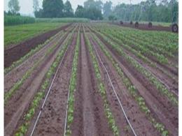 Jain Irrigation's agri-focused NBFC raises $18M from Mandala Capital