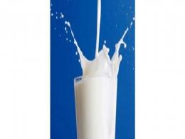 Prabhat Dairy's IPO fails to sail through; extends issue