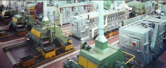 Fontana picks stake in auto component maker Bagla