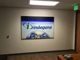 PE-backed Indegene to acquire Austrian healthcare marketing firm
