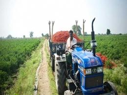 IFC to invest in agri-commodity firm Olam to expand in India, Nigeria