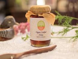Acumen invests in Mumbai-based honey producer