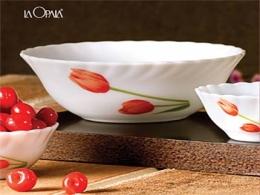 WestBridge Capital invests more in crockery firm La Opala