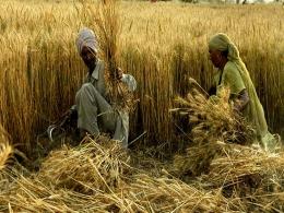 India Value Fund Advisors buys majority stake in Seedworks for $40 mn