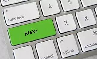 Blackstone’s open offer for Mphasis fails; ends with 60% stake