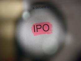 Lemon Tree Hotels' IPO scrapes through on institutional support