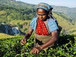 Tea chain Tpot Cafe gets pre-Series A investment