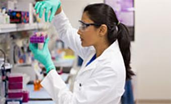 Laurus Labs shares gain 12.3% on listing day