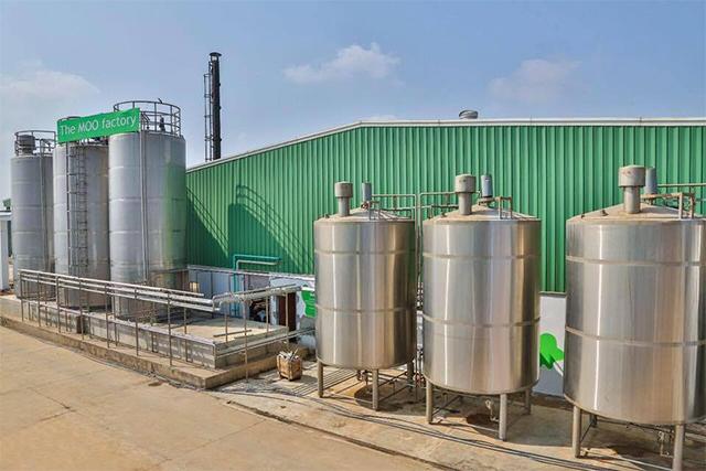 Milk Mantra raises Series D round from Neev Fund, existing investors