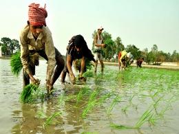 Accel Partners leads $10 mn Series B round in AgroStar