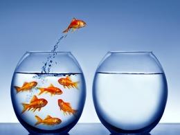 US private equity firm Proterra loses India head to conglomerate