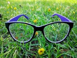 Company watch: Eyewear retailer Lenskart sets sight on success