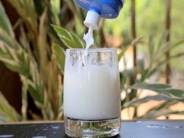 Dairy firm Milky Mist revives plan to raise funds