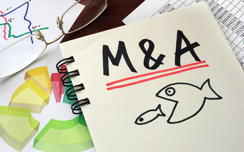 NIIT Tech unit Incessant to buy 55% stake in US-based RuleTek