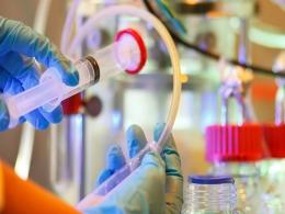 Accel, Aarin put fresh funds in biotech startup led by former Biocon execs