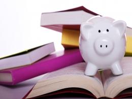 School financier Varthana raises $3 mn from MSDF