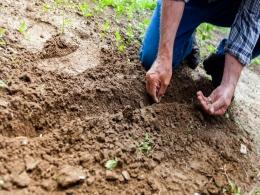 Agri-tech startup CropIn raises pre-Series A funding