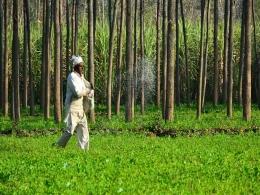 Chiratae, Gates Foundation back agri-tech startup CropIn in Series B round