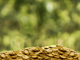 Aavishkaar injects more money into agri supply chain firm Ergos