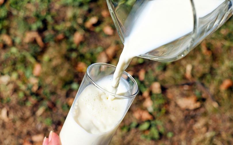 Lactalis adds a creamy layer to dairy sector valuations