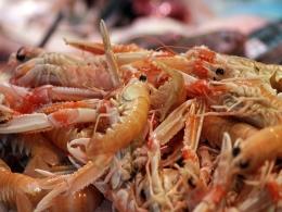 Seafood export firm Sandhya Marines files draft prospectus for IPO