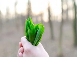 Info Edge leads pre-Series A round in agri-tech startup Gramophone