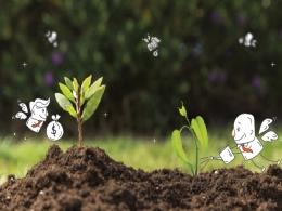 Pecking order of angel networks in India