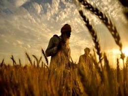 Anveshan Farm in talks with growth-stage PE firms to raise fresh capital