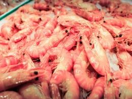 Devi Seafoods files for $138 mn IPO