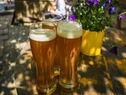 After Sula, Saama Capital backs another alco-beverage firm