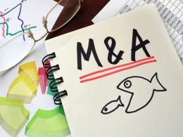 Blackstone's GSO to get stake in Tanla after exiting Karix Mobile