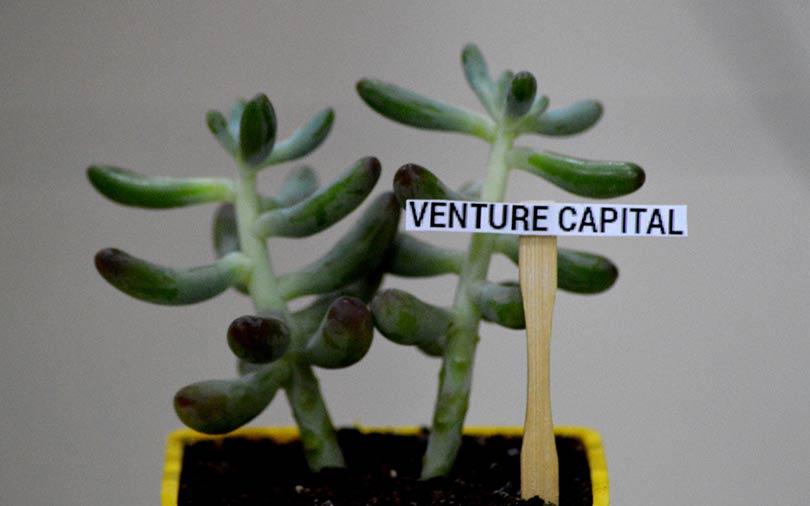 IDG Ventures India renames itself as Chiratae Ventures