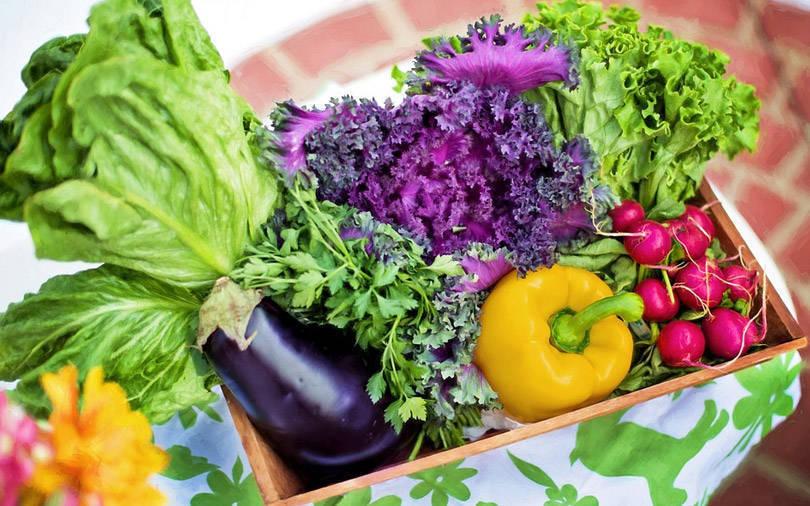 LGT Impact leads investment in fresh-produce distributor Waycool