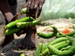 Omnivore, AgFunder invest in agri-tech startup DeHaat