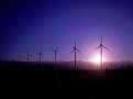 JSW Neo Energy ramps up wind power portfolio with $75 mn deal