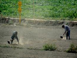 Govt rolls out agriculture reforms, $13 bn fund to boost farm infrastructure