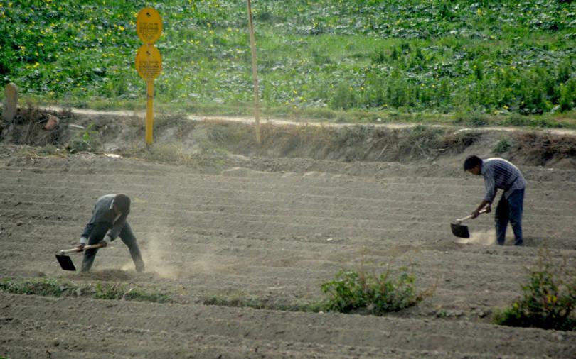 True North, GEF Capital plan to monetise stake in hybrid seeds maker via IPO