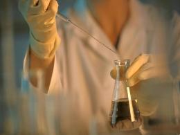 ChrysCap-backed Safex acquires Shogun Organics' agri focused arm