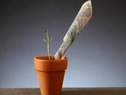 Transak, Bimaplan raise seed funding; CashRich acquires WealthApp