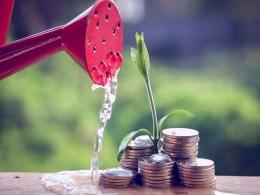 Avaana Capital, Rebright Partners invest in poultry-focussed Eggoz