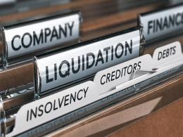 IL&FS PE-backed floriculture firm heads for liquidation