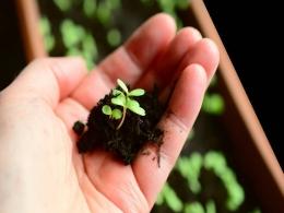 Nabventures, Omnivore invest in soil-tech platform Krishitantra